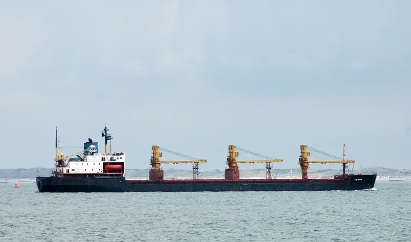 TIM BUCK Bulk Carrier IMO 8319861 photo 9