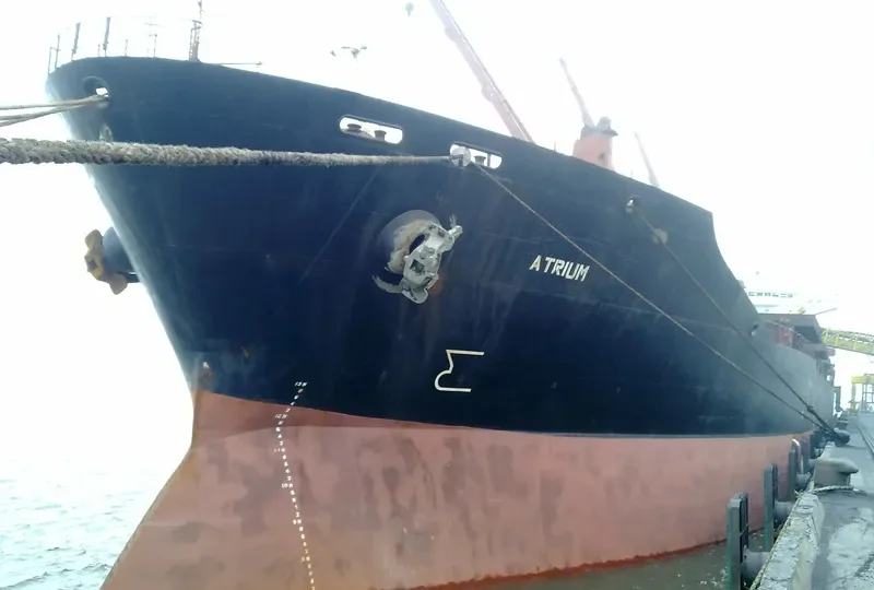 TABANDEH Bulk Carrier IMO 8320171 photo 8