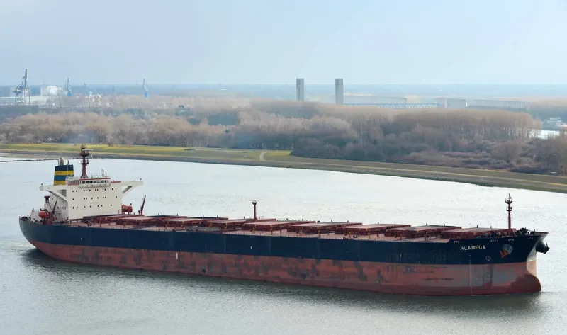 CARIBBEAN Bulk Carrier IMO 8320195 photo 2