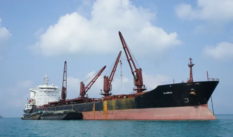 CARIBBEAN Bulk Carrier IMO 8320195 photo 4