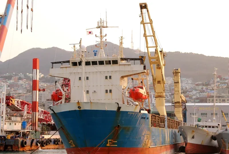 MOMA Ro-Ro IMO 8320638