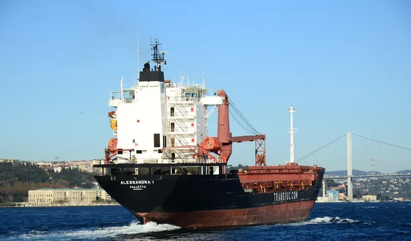 ALESSANDRA 1 Container Ship IMO 8321644 photo 10