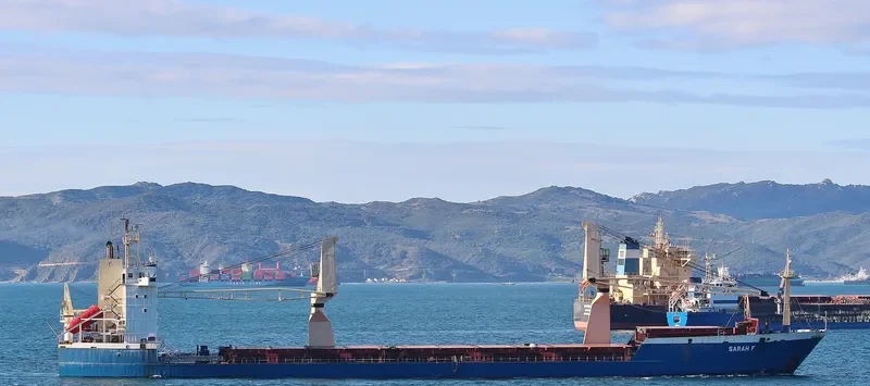 SARAH F Container Ship IMO 8321668 photo 3
