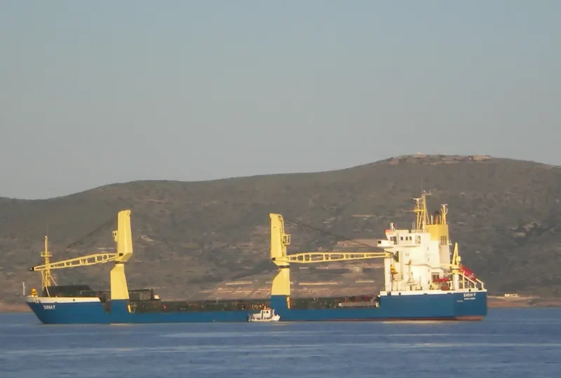 SARAH F Container Ship IMO 8321668 photo 8