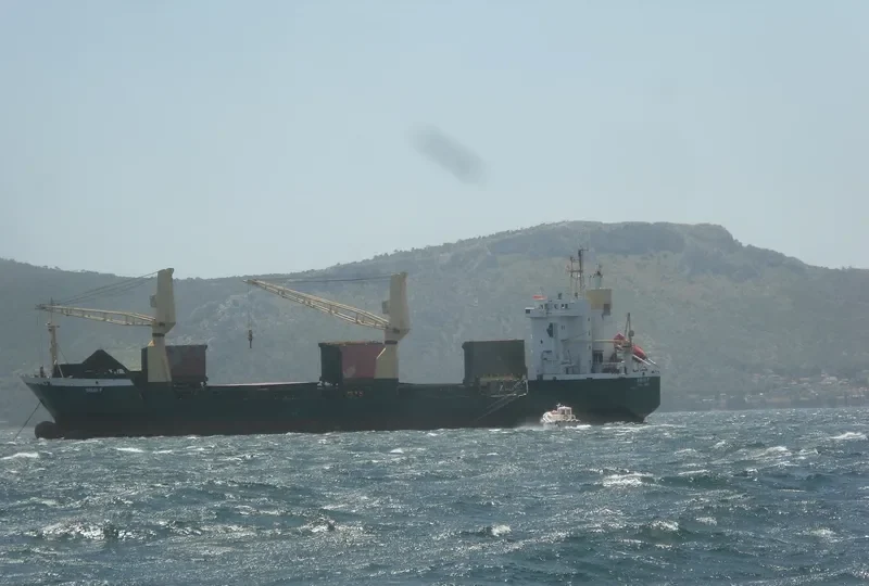 SARAH F Container Ship IMO 8321668 photo 10