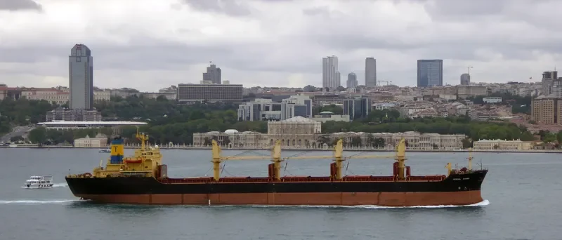 FEDERAL KASSER Bulk Carrier IMO 8321929