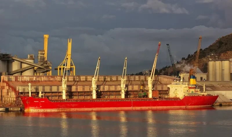 FEDERAL KASSER Bulk Carrier IMO 8321929 photo 8