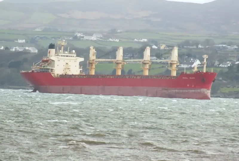FEDERAL KASSER Bulk Carrier IMO 8321929 photo 10