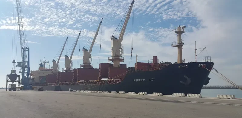 POLINA Bulk Carrier IMO 8321931