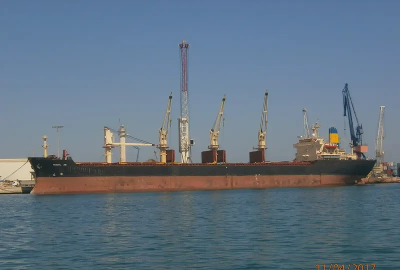 POLINA Bulk Carrier IMO 8321931 photo 2