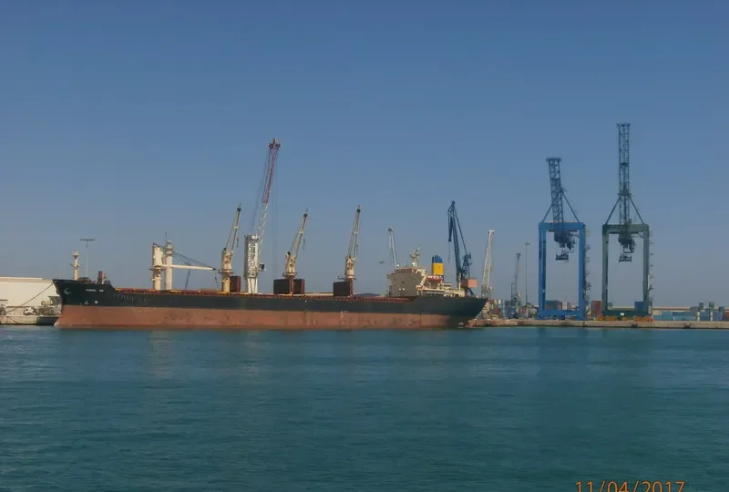 POLINA Bulk Carrier IMO 8321931 photo 3