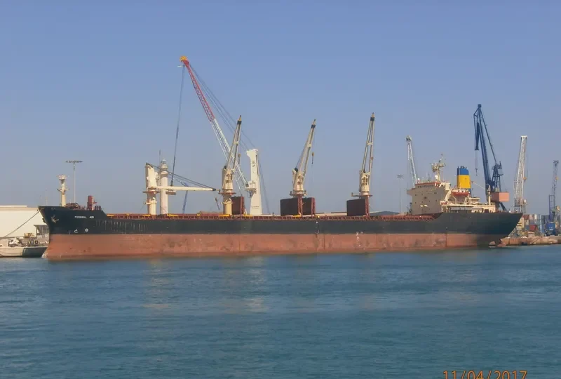 POLINA Bulk Carrier IMO 8321931 photo 4