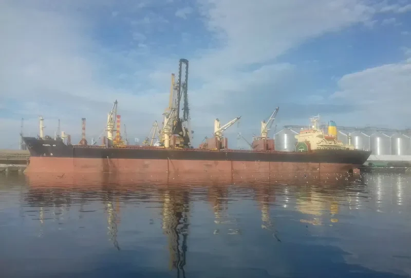 POLINA Bulk Carrier IMO 8321931 photo 5