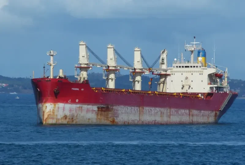 POLINA Bulk Carrier IMO 8321931 photo 6