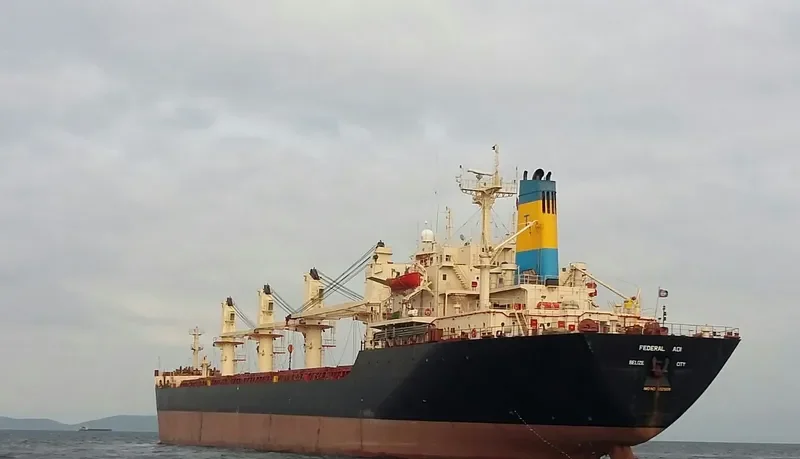 POLINA Bulk Carrier IMO 8321931 photo 7