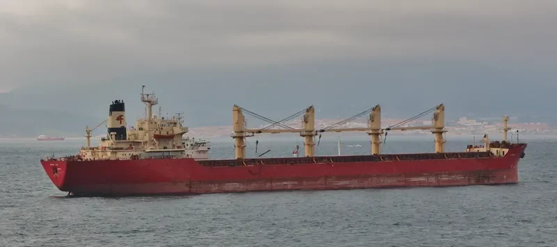 POLINA Bulk Carrier IMO 8321931 photo 8
