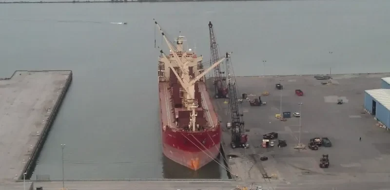 POLINA Bulk Carrier IMO 8321931 photo 9