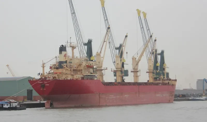 POLINA Bulk Carrier IMO 8321931 photo 10