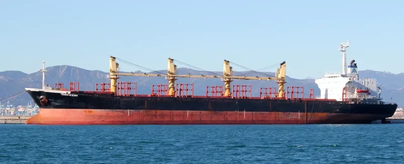 OCEAN PRIDE Bulk Carrier IMO 8323214 photo 2