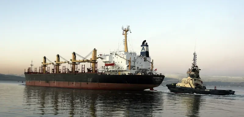 OCEAN PRIDE Bulk Carrier IMO 8323214 photo 7