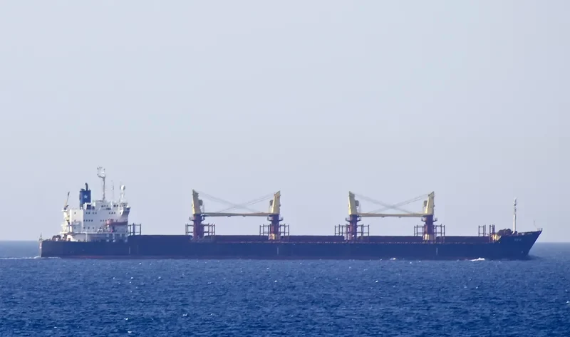 VLADIMIR PETRENKO Bulk Carrier IMO 8323410
