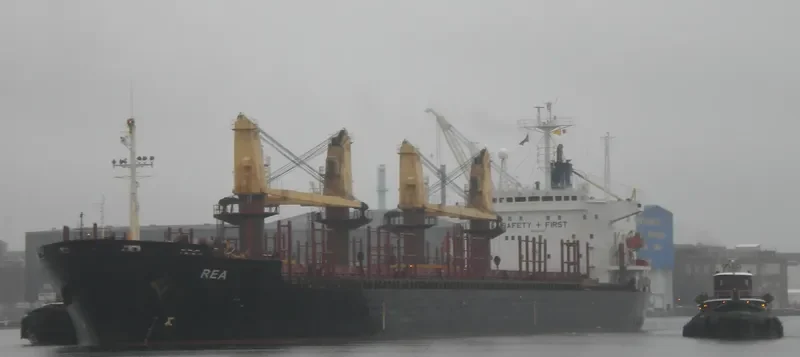 VLADIMIR PETRENKO Bulk Carrier IMO 8323410 photo 2