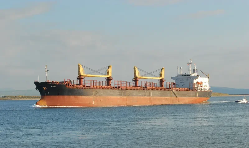 VLADIMIR PETRENKO Bulk Carrier IMO 8323410 photo 5