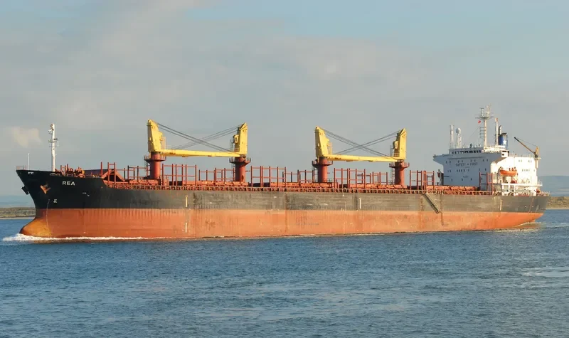 VLADIMIR PETRENKO Bulk Carrier IMO 8323410 photo 6