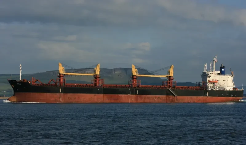 VLADIMIR PETRENKO Bulk Carrier IMO 8323410 photo 7