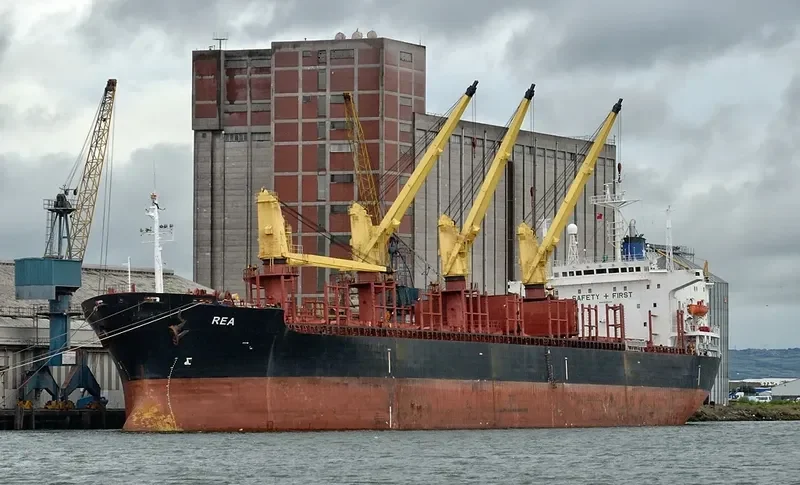 VLADIMIR PETRENKO Bulk Carrier IMO 8323410 photo 9