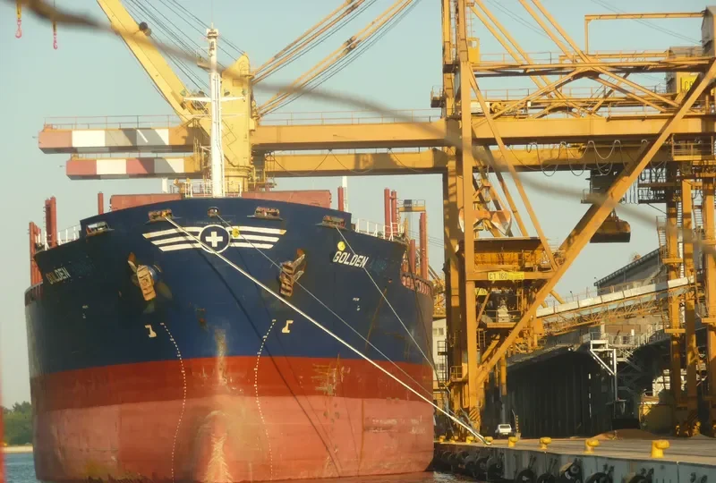 VLADIMIR PETRENKO Bulk Carrier IMO 8323410 photo 10