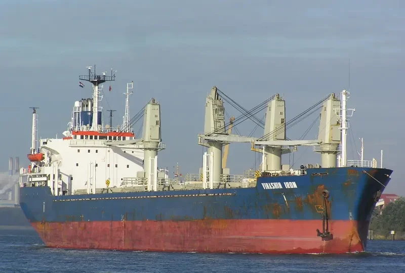 UNIVERSE FOREST Bulk Carrier IMO 8323850