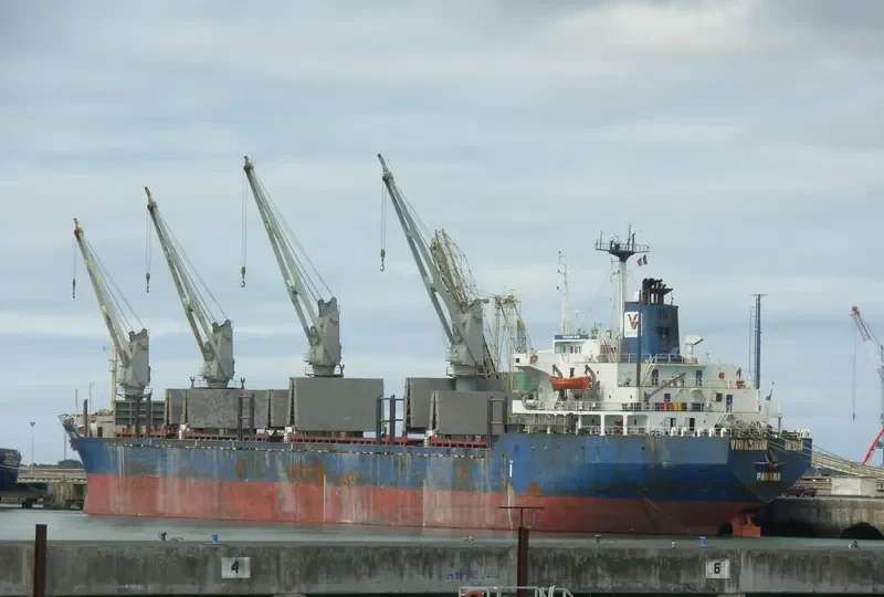 UNIVERSE FOREST Bulk Carrier IMO 8323850 photo 2