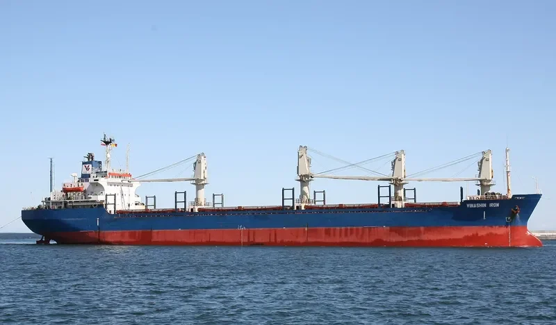 UNIVERSE FOREST Bulk Carrier IMO 8323850 photo 3