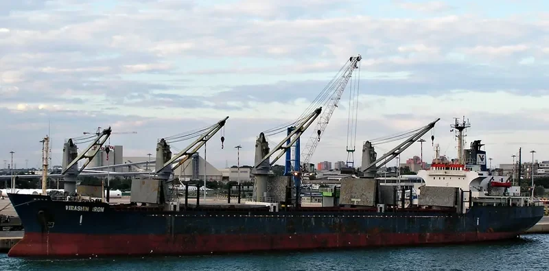 UNIVERSE FOREST Bulk Carrier IMO 8323850 photo 4