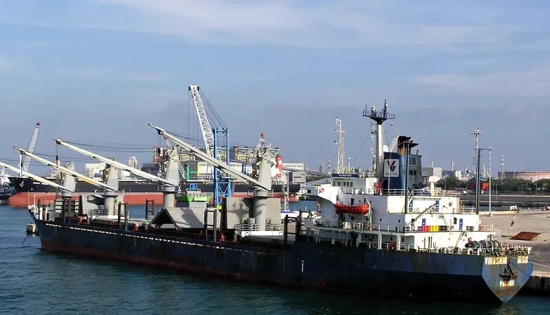 UNIVERSE FOREST Bulk Carrier IMO 8323850 photo 5