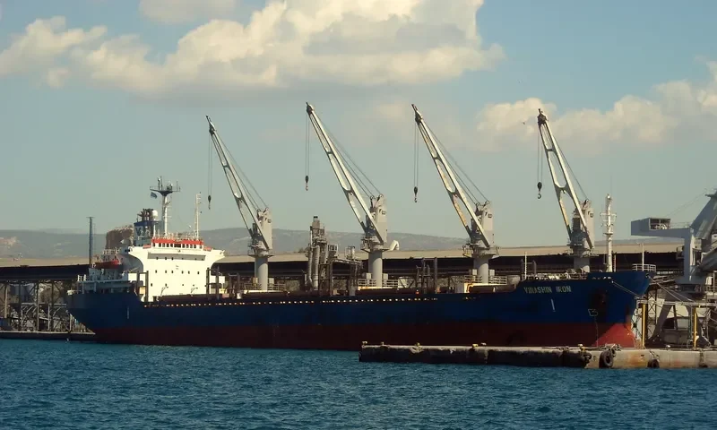 UNIVERSE FOREST Bulk Carrier IMO 8323850 photo 6