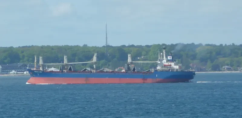 UNIVERSE FOREST Bulk Carrier IMO 8323850 photo 8