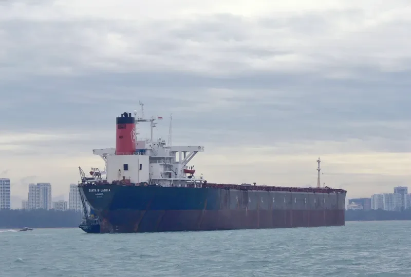 CAPE SANTA MILAGRIA Bulk Carrier IMO 8324115 photo 3