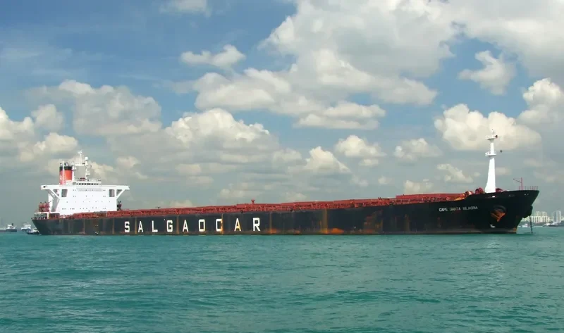 CAPE SANTA MILAGRIA Bulk Carrier IMO 8324115 photo 4