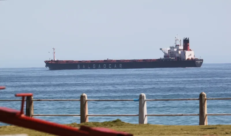 CAPE SANTA MILAGRIA Bulk Carrier IMO 8324115 photo 6