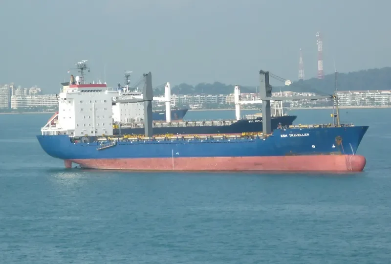 ESM TRAVELLER Container Ship IMO 8324608