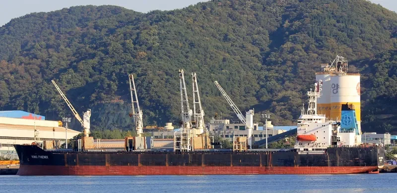 KING PHENIX General Cargo IMO 8325597