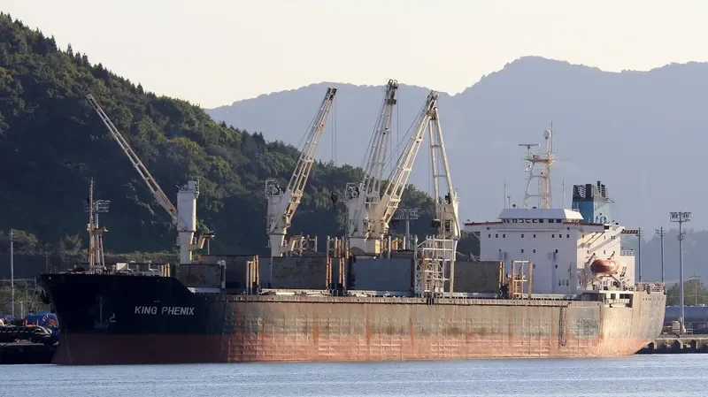 KING PHENIX General Cargo IMO 8325597 photo 2