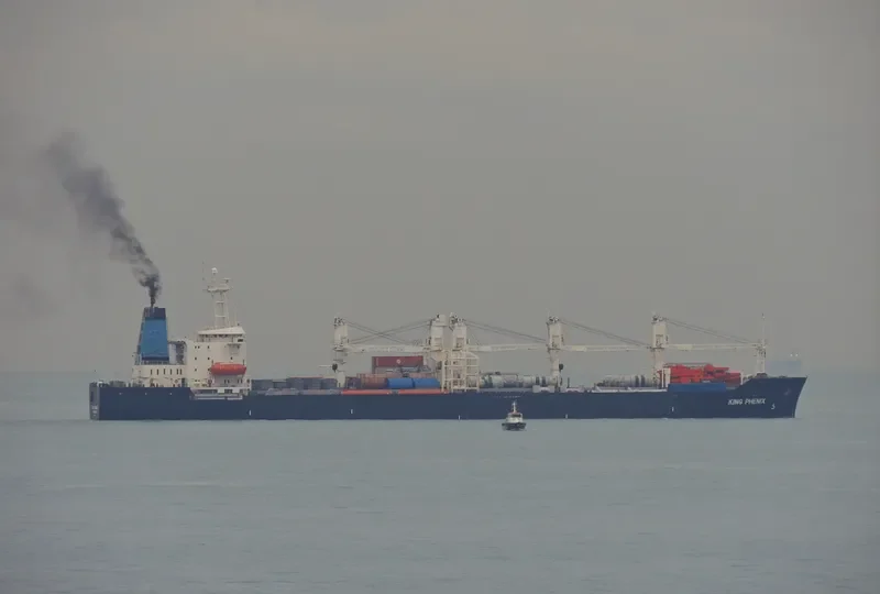 KING PHENIX General Cargo IMO 8325597 photo 3