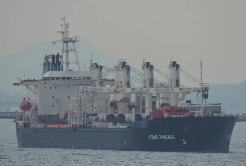 KING PHENIX General Cargo IMO 8325597 photo 5
