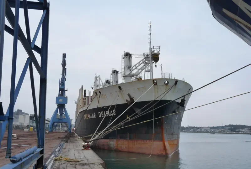 KING PHENIX General Cargo IMO 8325597 photo 6