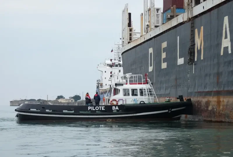 KING PHENIX General Cargo IMO 8325597 photo 7