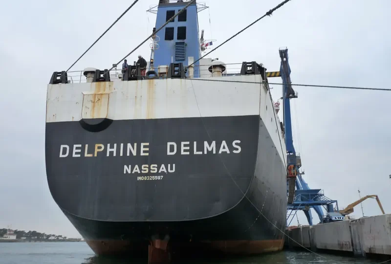 KING PHENIX General Cargo IMO 8325597 photo 8
