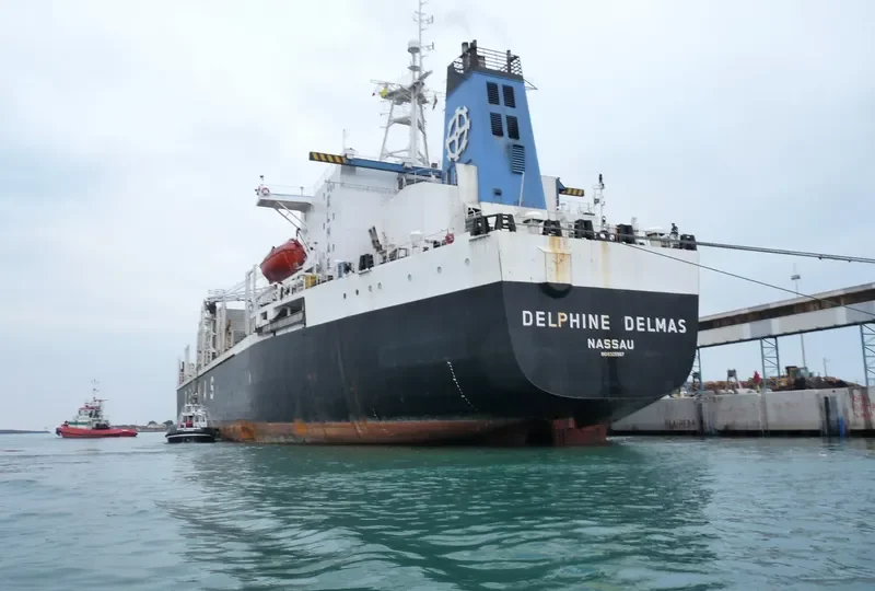 KING PHENIX General Cargo IMO 8325597 photo 9